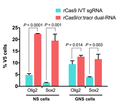 子夜星河 第5 页 In Learning We Trust