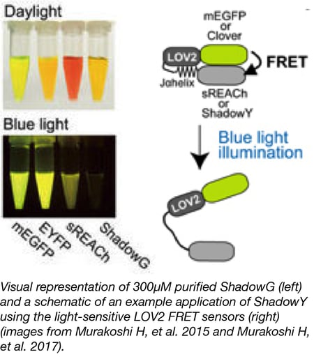Hot Plasmids May 2018 - Optogenetics, Decaffeination, Biosensors, and