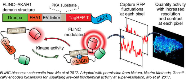 FLINC Biosensors