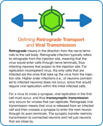Defining Retrograde and Viral Transmission
