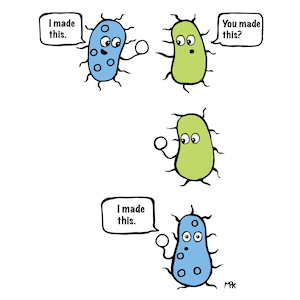 Cartoon comic showing bacterial conjugation. One bacteria says "I made this." The other says "You made this?" takes the plasmid and says "I made this"