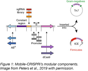 Mobile CRISPRi modular components