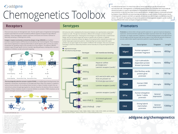 screenshot of the chemogenetics poster, click to download