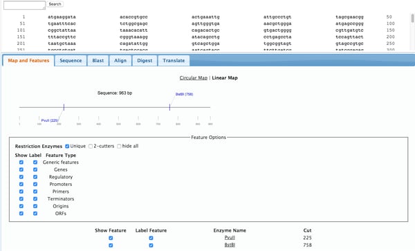 Addgene's analyze sequence tool shows the DNA sequence and options for BLAST, align, digest, and translate the sequence