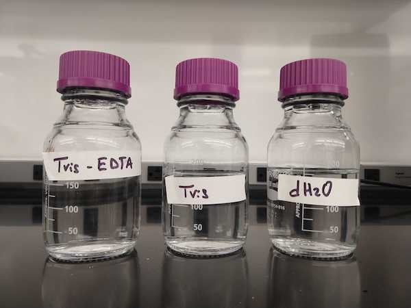 Three bottles with purple lids in a row. Bottles are labelled Tris-EDTA, Tris, and dH2O.