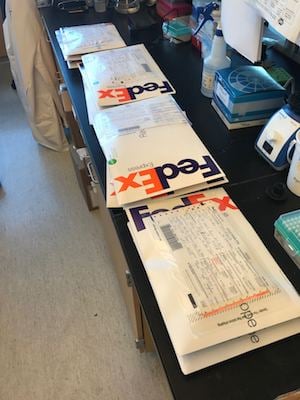 Stacks of FedEx envelope packages sitting on a lab bench