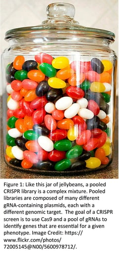 Like this jar of jelly beans, a pooled CRISPR library is a complex mixture. 