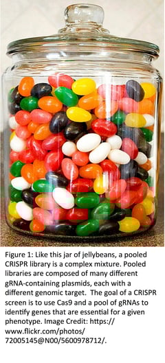 Jar of Jelly Beans Pooled Library Metaphore Like this jar of jelly beans, a pooled CRISPR library is a complex mixture.