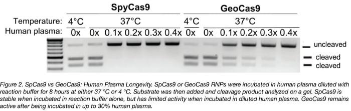 geoCas9 Plasma Stability-02.png