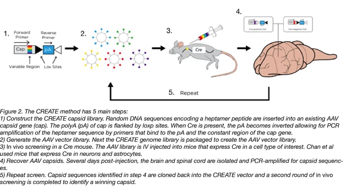 CREATE Method