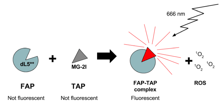 Photosensitizer