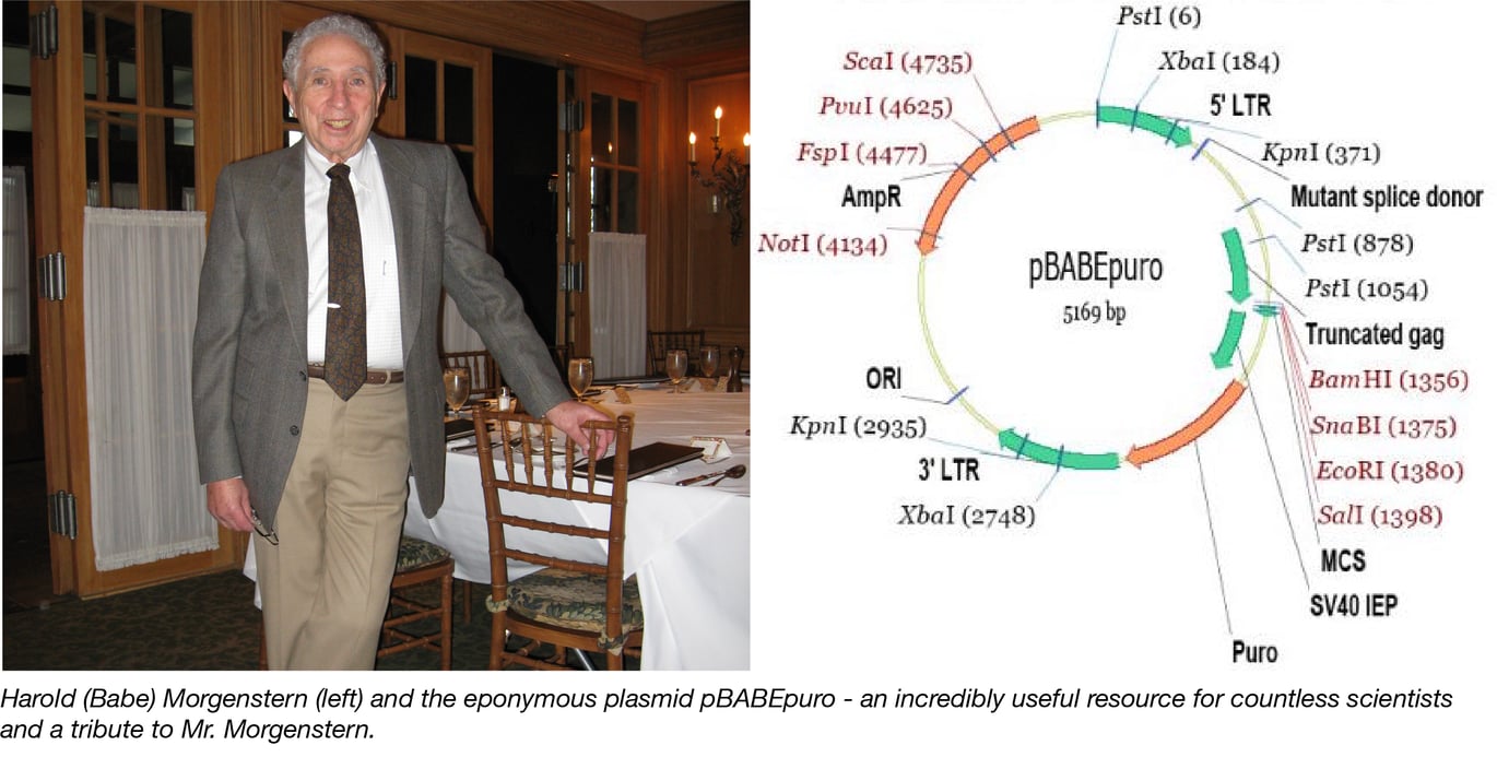 In Memoriam The Origins Of Pbabe And Generations Of Cancer Research