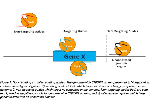 non-targeting versus safe-targeting guides