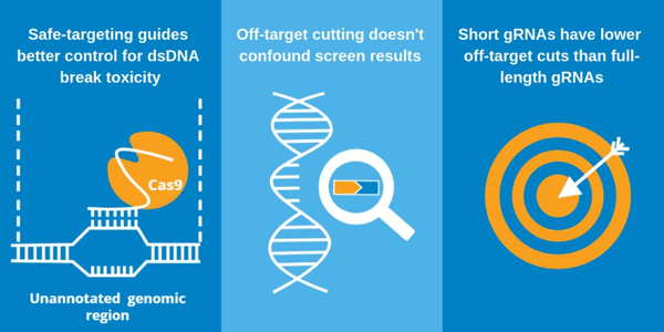 Summary graphic of Bassik library. Safe-targeting guides better control for dsDNA break toxicity. Off-target cutting doesn't confound screen results. Short gRNAs have lower off-target cuts than full-length gRNAs.