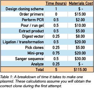 breakdown of time and cost to make a plasmid