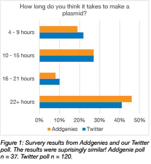 how long scientists think it takes to make a plasmid