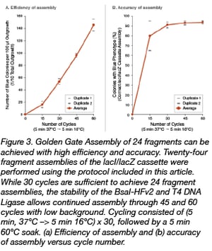 Golden Gate Assembly Efficiency Charts