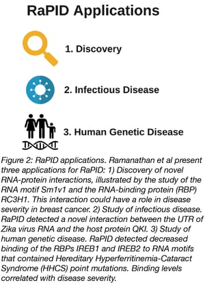 Applications of RaPID Discovery and Disease