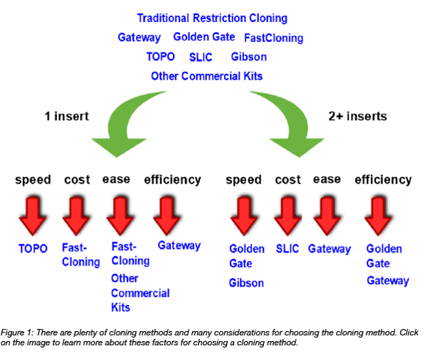 Flowchart for choosing a cloning method