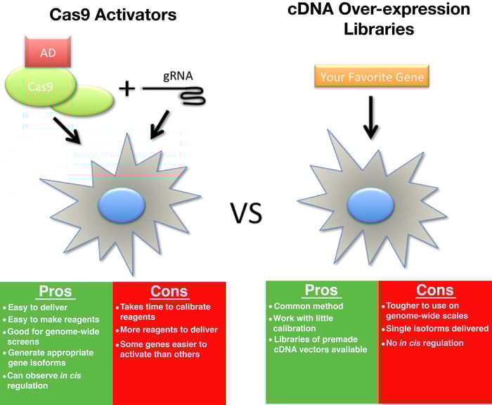 Addgene: CRISPR Guide