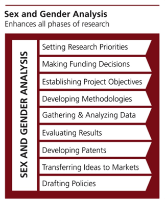 Research vs Analysis: The Differences & Why It Matters