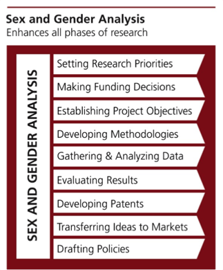 Diagram of where sex and gender impact research