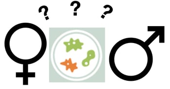 Analyzing Gender Gendered Innovations