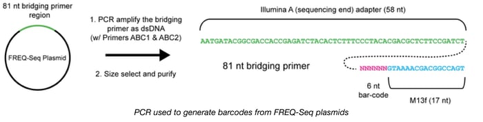 FREQ-seq Barcode PCR