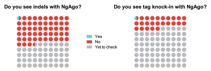 NgAgo Survey Results on Indels and Knock-in