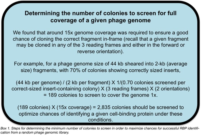Determining the number of colonies to screen for full phage genome coverage
