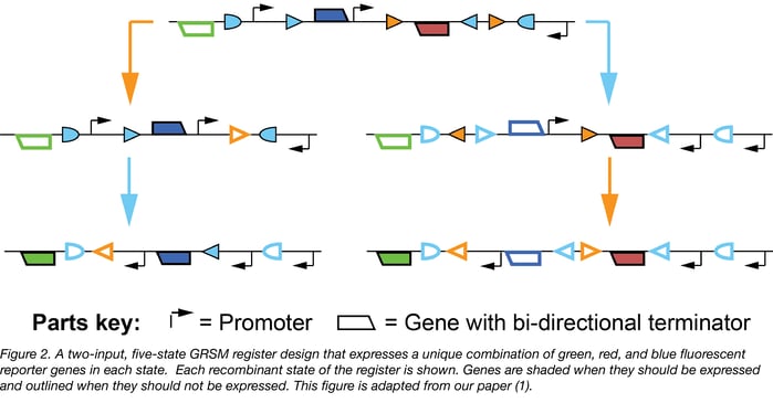 two-input, five-state GRSM register design