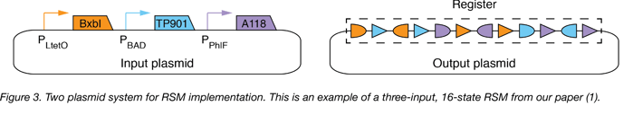 two plasmid system for RSM implementation