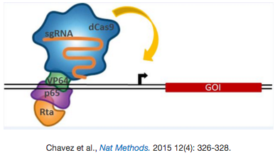 dCas9-VPR activator