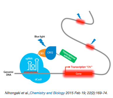 CRISPR-Cas9 Optogenetic tool