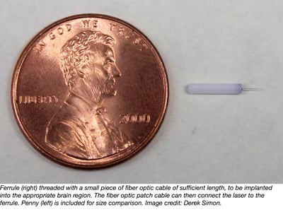 Ferrule used for fiber optics implants with penny (USD) for size comparison.