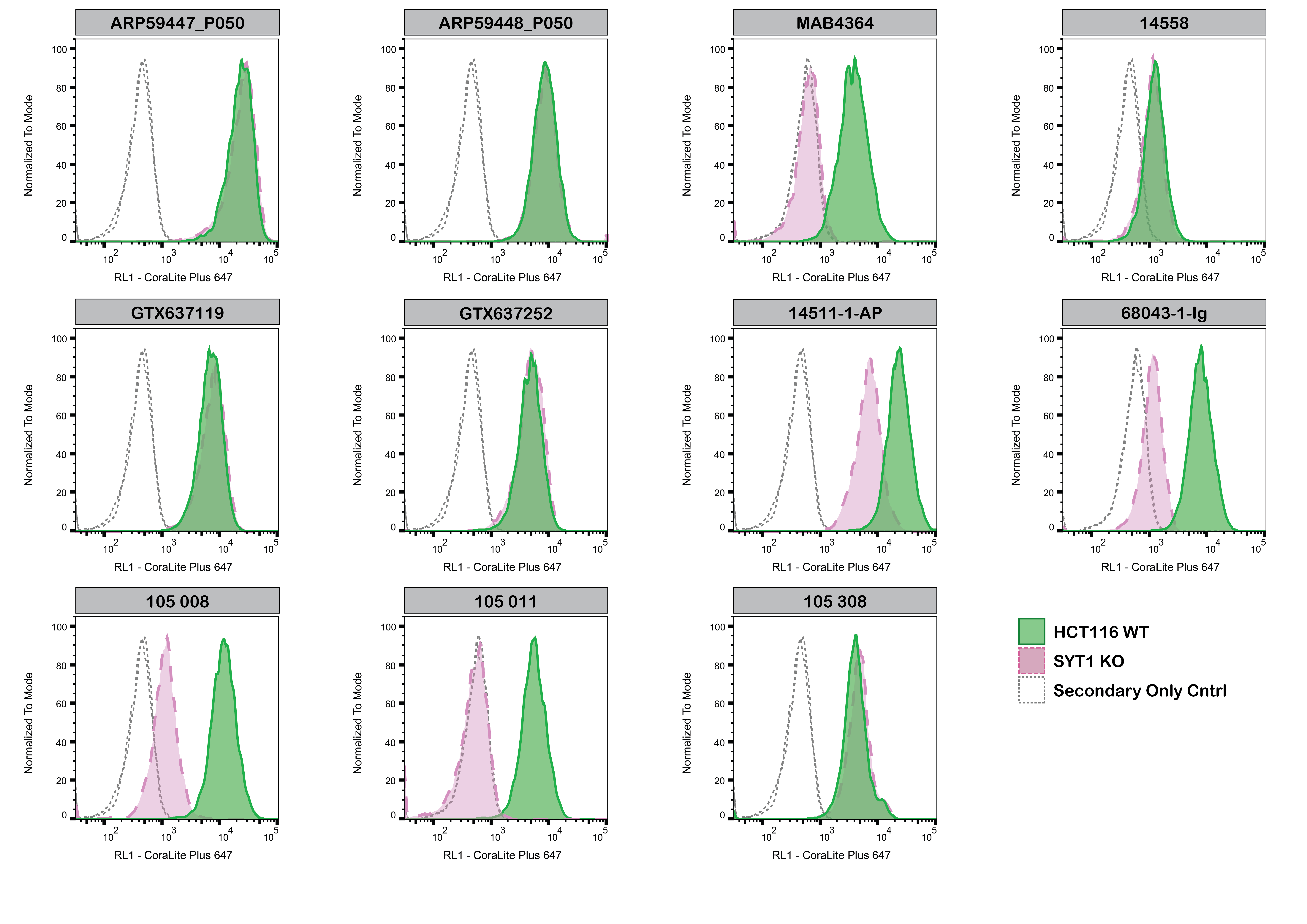 Eleven flow plots, each testing a different antibody against WT and KO cells (see figure legend for details). In some plots, the peaks for WT and KO completely overlap (plots 1, 2, 4, 5, 6, 11). In others, the peaks are separate with overlap only at the shoulders (plots 3, 8, 9, and 10). Plot 7 shows incomplete overlap between the two peaks. In each plot, a secondary only control is to the left of the WT and usually to the left of the KO. Plot 10 shows the KO and secondary only peaks completely overlapping. 