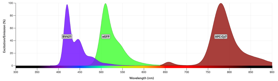 Emission spectra of BV421, eGFP, and APC-Cy&. BV421 and eGFP have distinct peaks at ~425 and ~525 nm, respectively, with minimal overlap at their tails (~480 nm). APC-Cy7 has a strong peak at ~775 nm and does not overlap with the other two colors. 