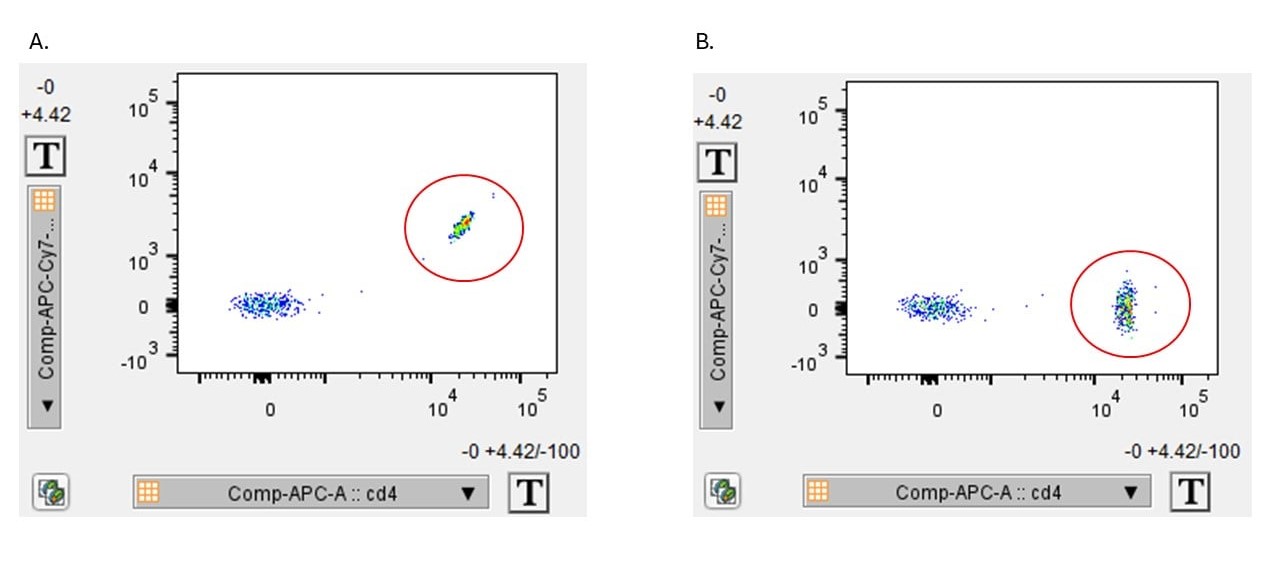 Antibodies 101: Flow Compensation