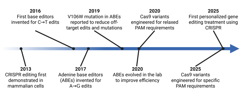 A timeline of major CRISPR base editing advances that led to Baby KJ’s treatment. 2013: CRISPR editing first demonstrated in mammalian cells 2016: First base editors invented for C→T edits 2017: Adenine base editors (ABEs) invented for A→G edits 2019: V106W mutation in ABEs reported to reduce off-target edits and mutations 2020: ABEs evolved in the lab to improve efficiency 2020: Cas9 variants engineered for relaxed PAM requirements 2025: Cas9 variants engineered for specific PAM requirements 2025: First personalized gene editing treatment using CRISPR