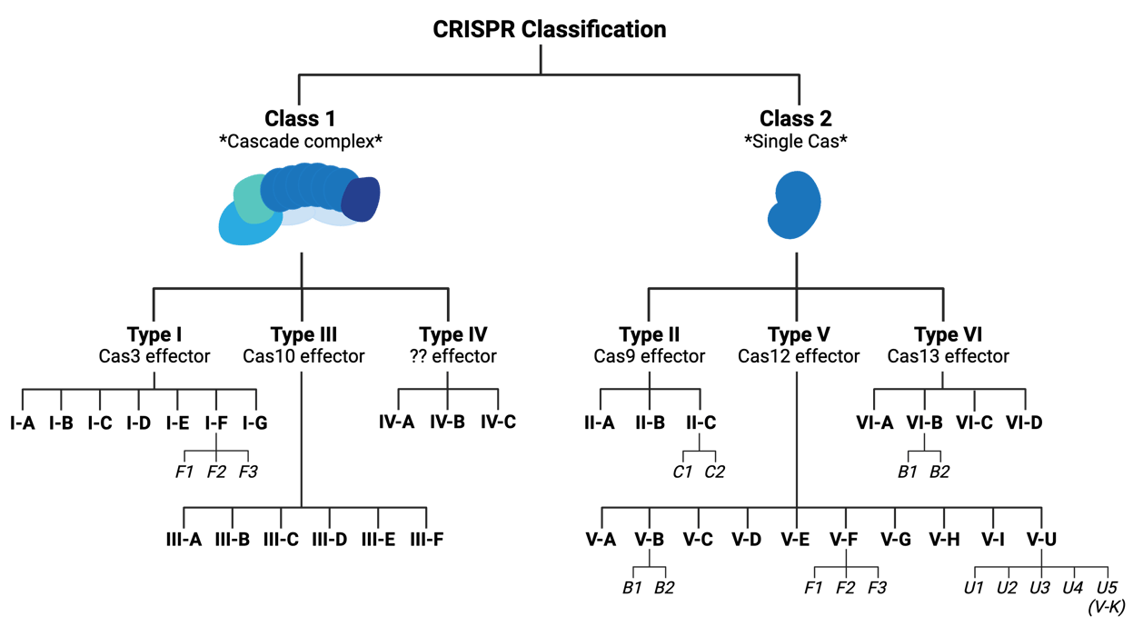 Typing CRISPR Systems