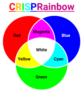 CRISPRainbow colors