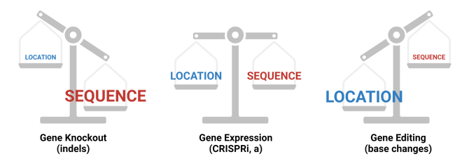 Cartoon illustrating the importance of sequence and location of gRNA design in three different types of CRISPR experiments: gene knockout (indels), gene expression (CRISPRi and CRISPRa), and gene editing (base changes, including by HDR). Details in text.