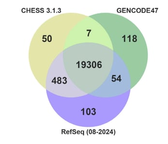 A three-way venn diagram comparing genes included in CHESS 3.1.3, GENCODE47, and RefSeq (08-2024). 19,306 genes are included in all three resources. 7 genes are included in CHESS and GENCODE; 54 genes are included in GENCODE and RefSeq; and 483 genes are included in RefSeq and CHESS. 50 genes are included only in CHESS; 118 genes are included only in GENCODE; and 103 genes are included only in RefSeq.
