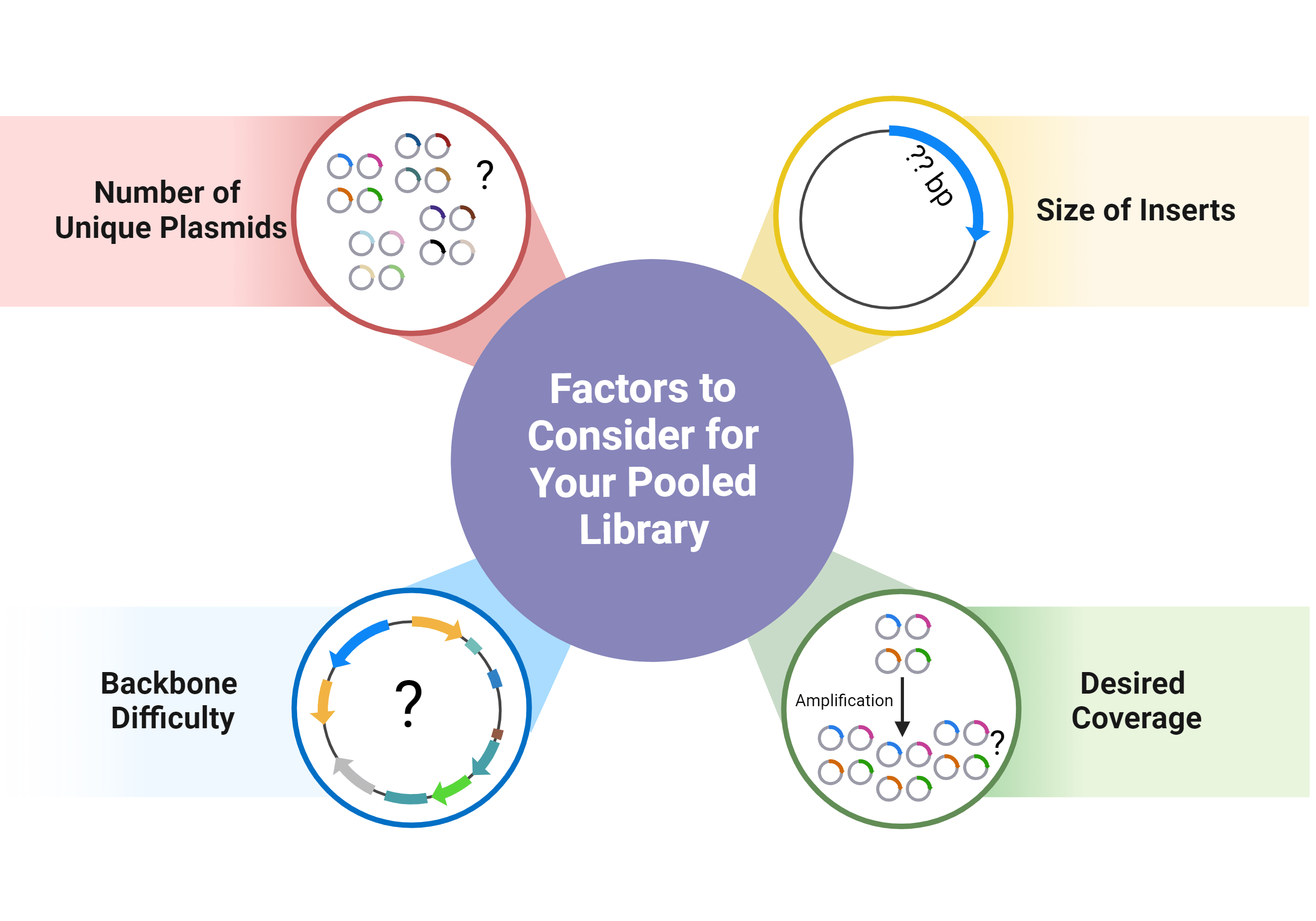  Cartoon depicting factors to consider for a pooled library when creating an amplification protocol as described in the main text. 