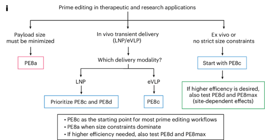 A decision tree for selecting a PE8 variant. A series of steps guides the viewer to the appropriate variant for their application.   A summary box recommends: - PE8c as the starting point for most prime editing workflows - PE8a when size constraints dominate - If higher efficiency needed, also test PE8d and PE8max  The full flowchart follows:  Step 1 shows three options for constraints: (a) Payload size must be minimized, (b) In vivo transient delivery (LNP/eVLP), or (c) Ex vivo or no strict size constraints.  If (a) Payload size must be minimized is selected, PE8a is recommended.  If (b) In vivo transient delivery (LNP/eVLP) is selected, the next step asks, Which delivery modality? For LNP, prioritize PE8c and PE8d. For eVLP, PE8c is recommended.  If (c) Ex vivo or no strict size constraints is selected, start with PE8c. If higher efficiency is desired, also test PE8d and PE8max, as there are site-dependent effects.