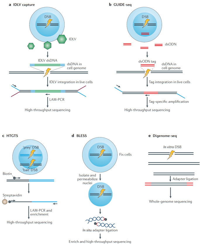 Unbiased Sequencing Methods