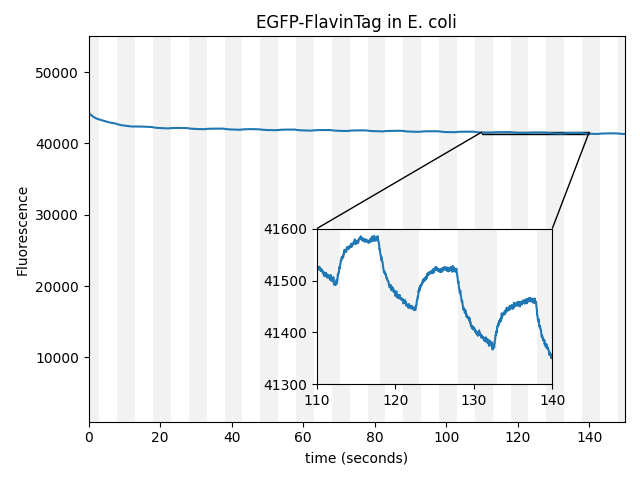  A graph of fluorescence versus time, with vertical bands alternating gray and white every 5 seconds. The signal trace looks slightly wavy with a small overall decrease over 150 seconds. An inset shows a magnified view with an enhanced y axis, where the signal decays exponentially over the gray period but quickly recovers during the white period, with change in value around 0.25%.