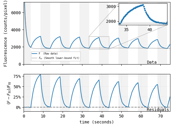  Two graphs, of fluorescence versus time and the residual (F - F_fit)/F_fit versus time, with vertical bands alternating gray and white every 5 seconds. The signal follows a prominent sawtooth pattern, decreasing during the gray period and recovering during the white period. Bottom panel (residuals) indicates ΔF/F reaches 75% and decreases slightly each cycle, but still reaches over 50% after seven cycles.