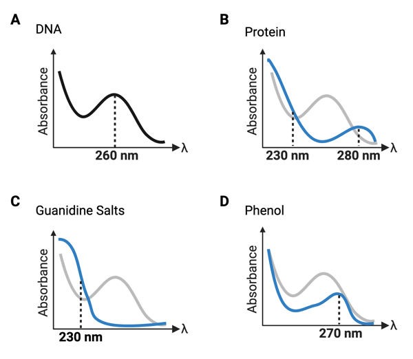 Figure 1 Absorption Spectra for DNA and Representative Contaminants-1