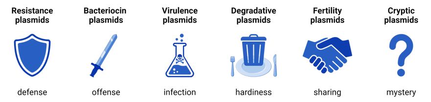 Cartoon depictions of the types of plasmids discussed in this post.  Resistance plasmids are depicted with a shield for defense. Col plasmids are depicted with a sword for offense. Virulence plasmids are depicted with a flask of toxins for infection. Degradative plasmids are depicted with a trash can on a dinner plate for hardiness. Fertility plasmids are depicted with a handshake for sharing. Cryptic plasmids are depicted with a question mark for mystery.